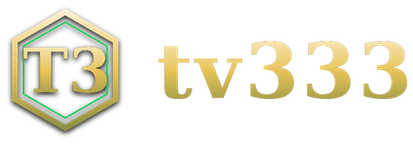 tv333 logo